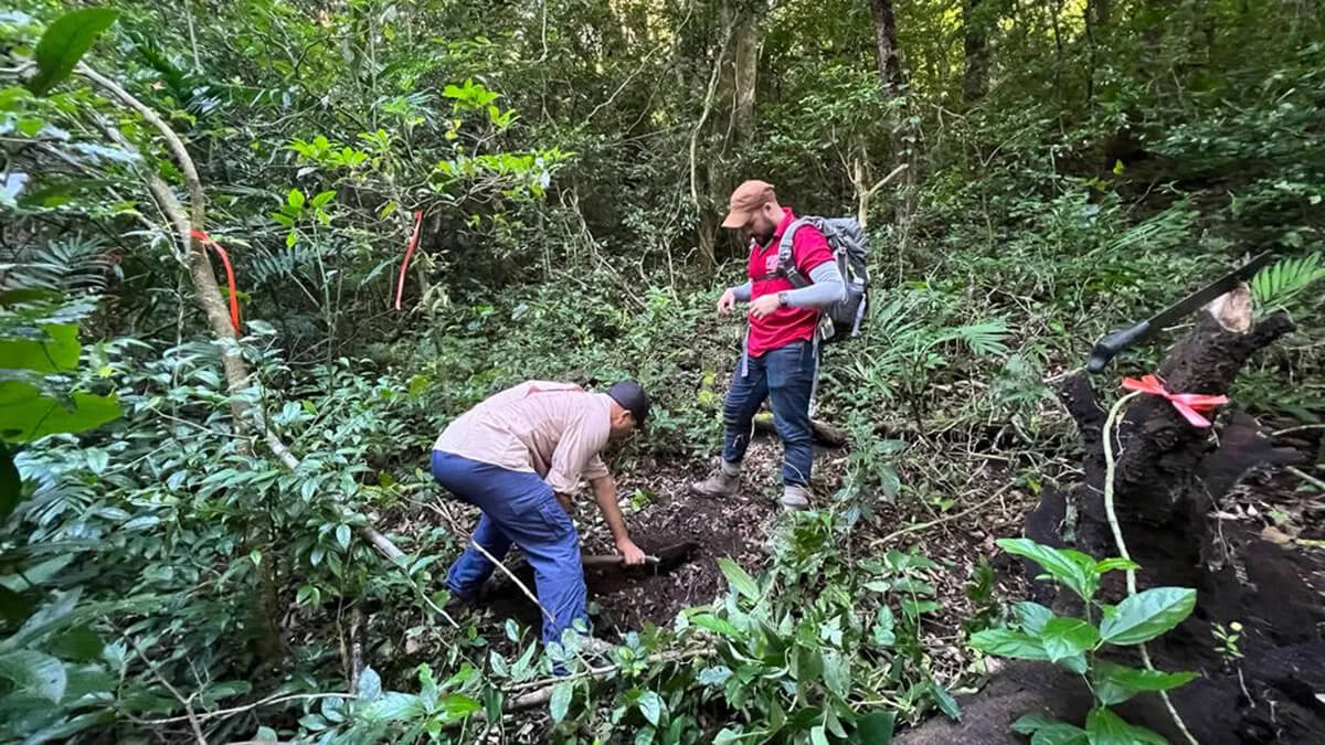 Una red de sismómetros en Costa Rica registró microsismicidad tras dos grandes terremotos lejanos. Los investigadores han instalado sensores en todo el país, incluso en bosques densos, como se muestra aquí. Crédito: Esteban Chaves